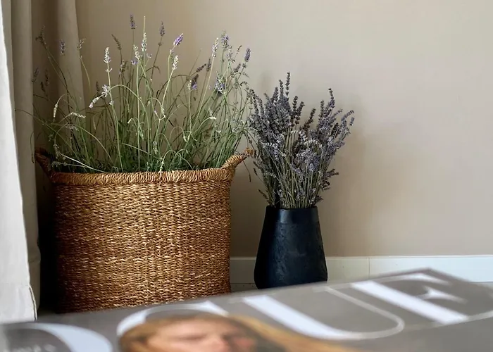 Apartamento Up&above ,new Luxury Apt, Steps From And Old Town