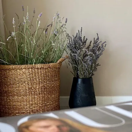 Apartman Up&above ,new Luxury Apt, Steps From And Old Town